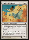 4-avianchangeling