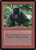40-kirdape