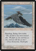 40-kjeldoranskyknight