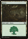 402-forest