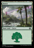 402-forest