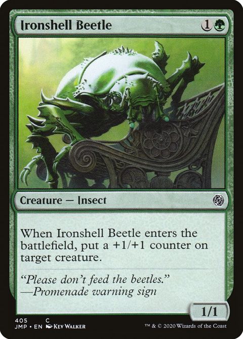 405-ironshellbeetle