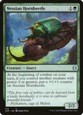 413-nessianhornbeetle