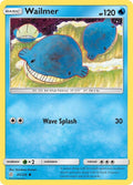 45-wailmer