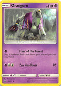 48-oranguru