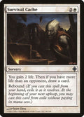 48-survivalcache