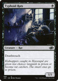 480-typhoidrats