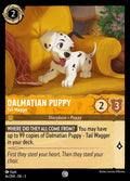 4c-dalmatianpuppy-tailwagger