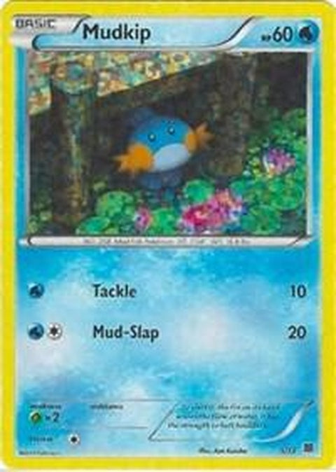 5-mudkip