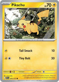 55-pikachu