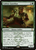 56-caldaiaguardian
