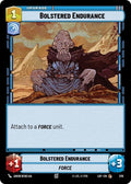 576-bolsteredendurance-a