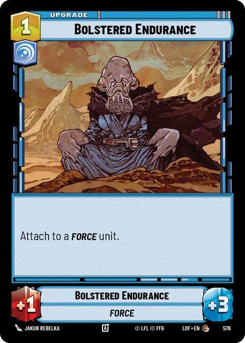576-bolsteredendurance-a