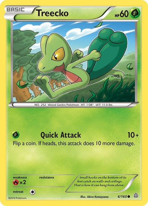 6-treecko