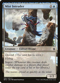 61-mistintruder