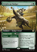 62-brightcapbadgerfungusfrolic-a