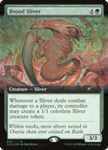 647-broodsliver