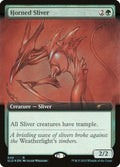 649-hornedsliver