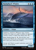 65-humpbackwhales
