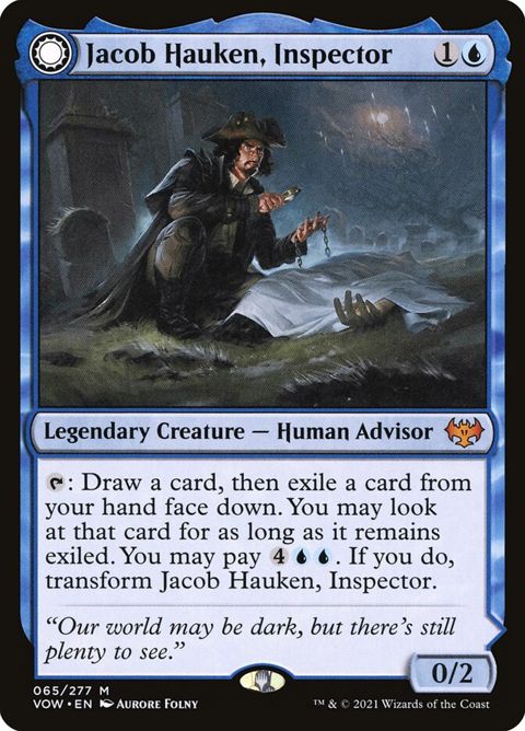 65-jacobhaukeninspectorhaukensinsight