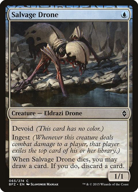 65-salvagedrone