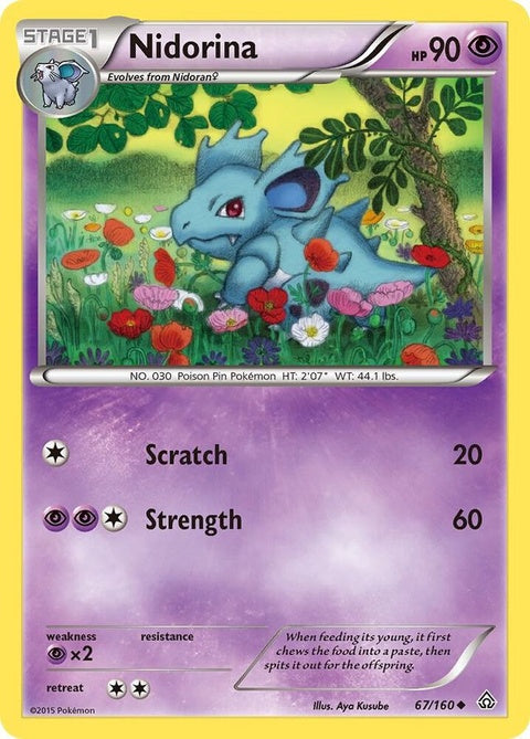 67-nidorina