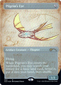 692-pilgrimseye