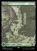 722-forest