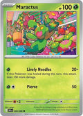 8-maractus