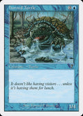 80-hornedturtle