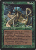 80d-thornthallid
