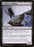 81-cauldronfamiliar
