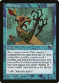 82-polymorph