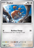 84-doduo