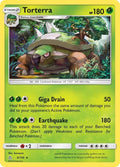 9-torterra