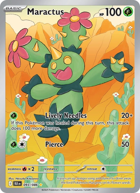 93-maractus