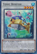 alin-en085-toxicboxfish
