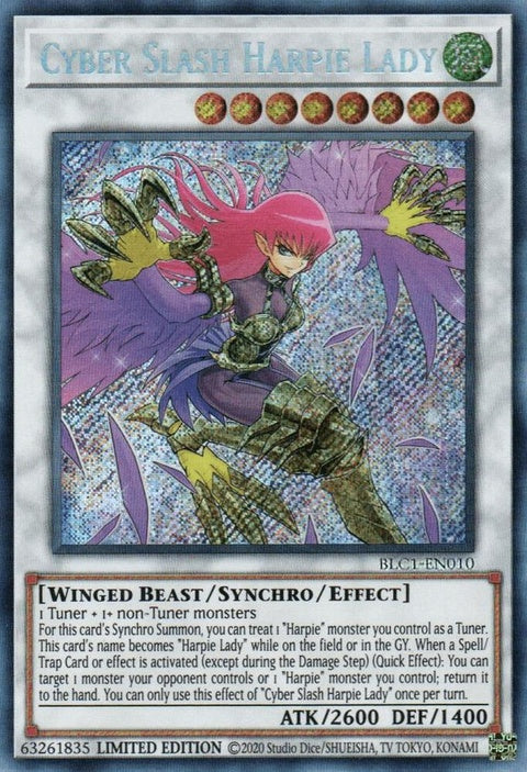 blc1-en010-cyberslashharpielady