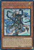 blc1-en014-sagewitheyesofbluesilver