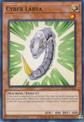blc1-en108-cyberlarva