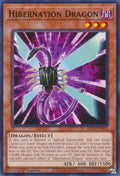 blc1-en113-hibernationdragon
