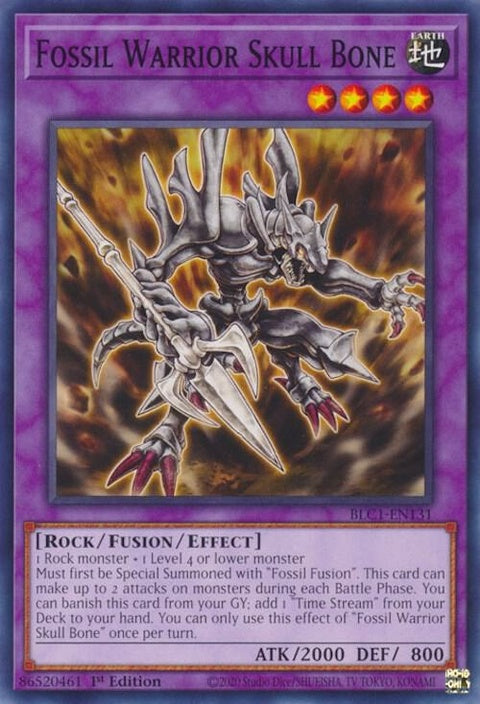 blc1-en131-fossilwarriorskullbone