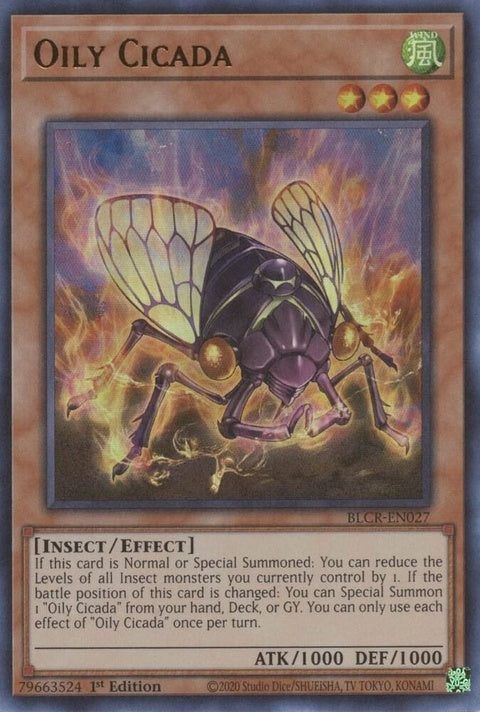 blcr-en027-oilycicada
