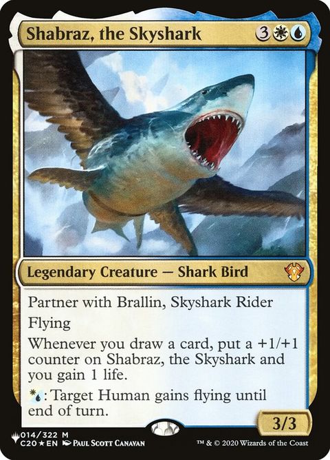 c20-14-shabraztheskyshark