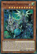 cibr-en027-metaphysexecutor