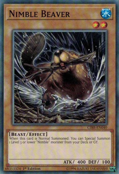 cibr-en040-nimblebeaver