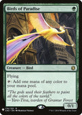 cn2-176-birdsofparadise