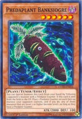 cotd-en016-predaplantbanksiogre