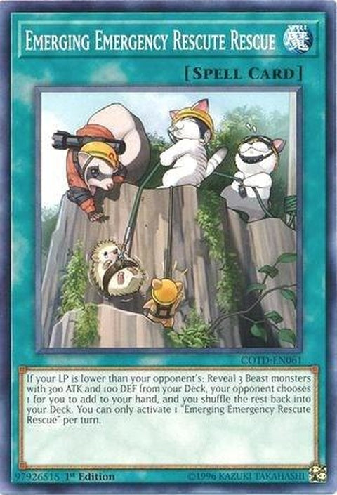 cotd-en061-emergingemergencyrescuterescue