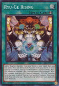 crbr-en035-ryugerisingsr